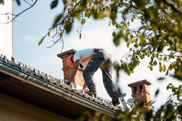 Best Local Roofing Companies  in Zillah, WA