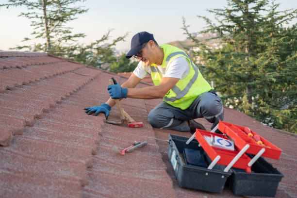 Best Shingle Roofing Installation  in Zillah, WA